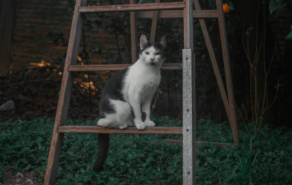 Découvrez comment votre mental peut jouer un rôle clé dans la prévention des maladies